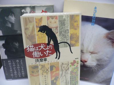 neko01 neko01