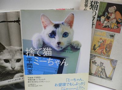 neko02 neko02