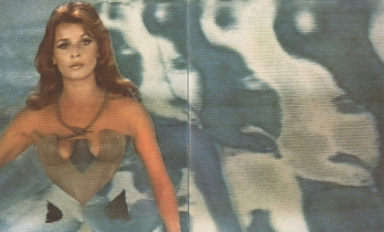 bardot261 bardot261