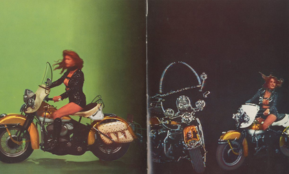 bardot262 bardot262
