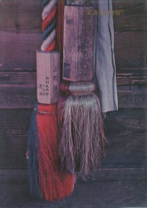 v_120 v_120
