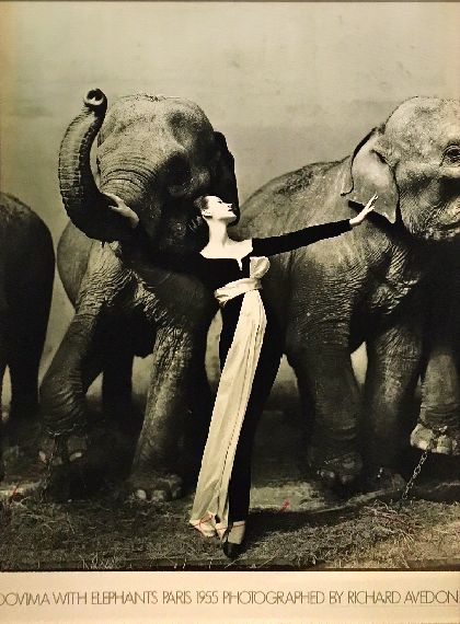 Dovima with elephants Paris 1955 Dovima with elephants Paris 1955