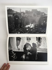 img_16172 img_16172