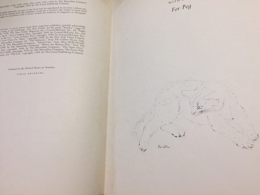 image12 image12