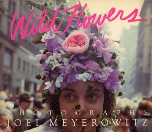 Wild Flowers / ジョエル・マイヤーウィッツ　Joel Meyerowitz　写真集