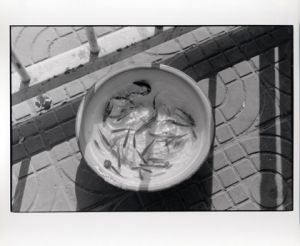 北井一夫　オリジナルプリント額　写真集 1990年代北京（2004/冬青社）　サイン入 / 北井一夫　