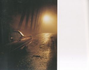 「BETWEEN THE TWO / Todd Hido」画像3