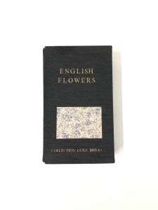 ENGLISH FLOWERS / ルイジ・ブリビオ