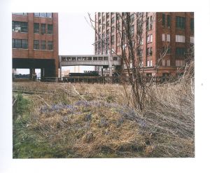 「Joel Sternfeld Walking the High Line / Author: Joel Sternfeld」画像1