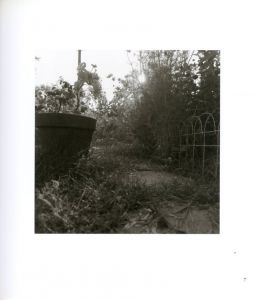 「I HEAR THE LEAVES AND LOVE THE LIGHT / Robert Adams」画像1