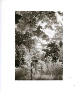 「I HEAR THE LEAVES AND LOVE THE LIGHT / Robert Adams」画像4