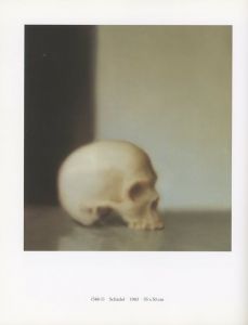 「100 Pictures / Gerhard Richter」画像4