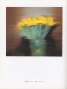 「100 Pictures / Gerhard Richter」画像5