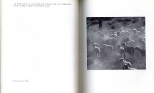 「The Land of Little Rain / Photo: Ansel Adams 」画像3