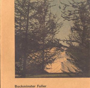 Buckminster Fuller / Author: Buckminster Fuller