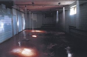 「ACTA EST / Lise Sarfati」画像3