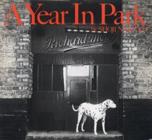 A Year In Parkのサムネール