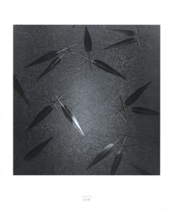 「Shoku / Frauke Eigen」画像10
