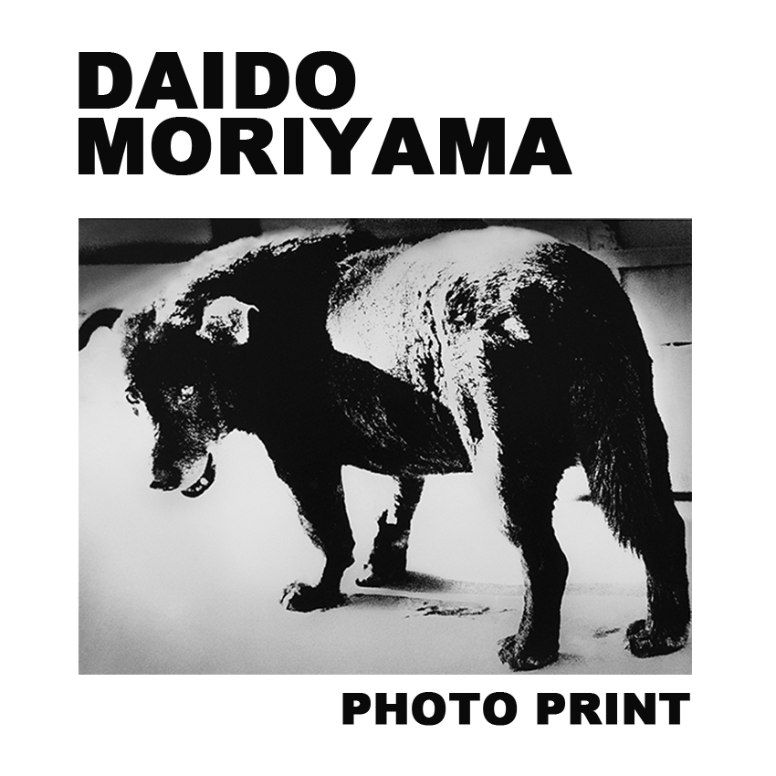 写真家 森山大道 プリント作品のご紹介です。Daido Moriyama photo