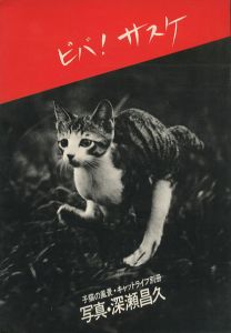 ビバ！サスケ　子猫の風景・キャットライフ別冊　写真・深瀬昌久のサムネール