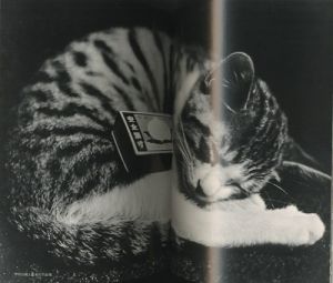 「ビバ！サスケ　子猫の風景・キャットライフ別冊　写真・深瀬昌久 / 深瀬昌久」画像1