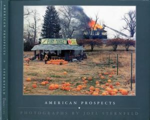 AMERICAN PROSPECTS／Joel Sternfeld ジョエル・スターンフェルド（／)のサムネール