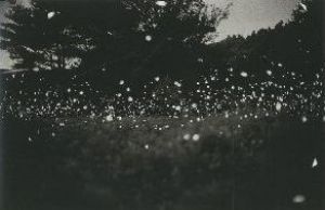 「GREGORY CREWDSON FIREFLIES / Gregory Crewdson」画像3