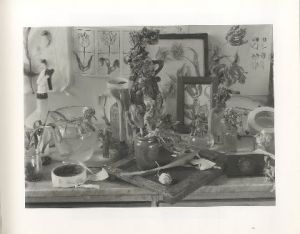 「The Stilled Gaze / John Blakemore 」画像5