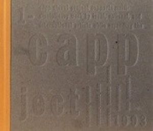 Capp Street Project 1991-1993 / Mary Ceruti, ed メリー・セルティ