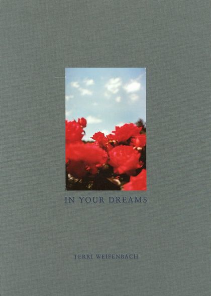 「IN YOUR DREAMS / Photo: Terri Weifenbach Foreword: Robert Adams」メイン画像