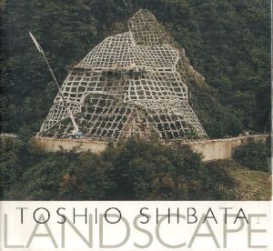 LANDSCAPE2／柴田敏雄　Toshio Shibata（LANDSCAPE2／)のサムネール