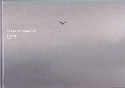 「A BIRD BLAST #130 / Naoya Hatakeyama」メイン画像