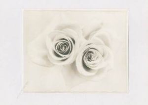 「ROSE FERREUS / Ron Van Dongen」画像2