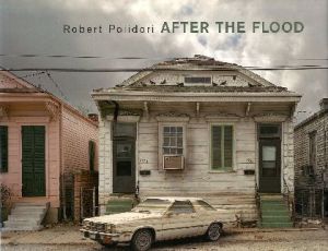 AFTER THE FLOODのサムネール