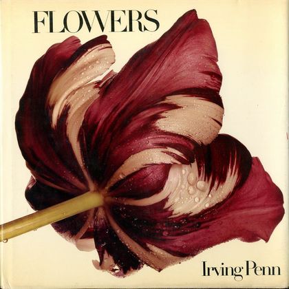 「FLOWERS / Irving Penn 」メイン画像