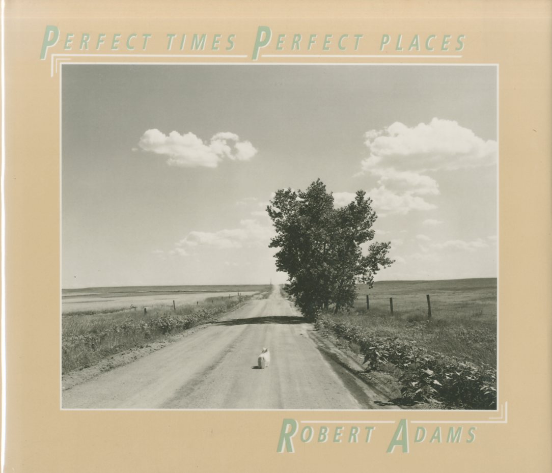 「PERFECT TIMES, PERFECT PLACES / Robert Adams」メイン画像