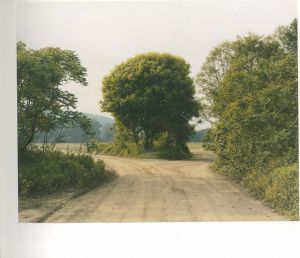 「JOEL STERNFELD OXBOW ARCHIVE / Joel Sternfeld」画像1