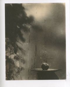 「The Window of My Studio / Josef Sudek」画像3