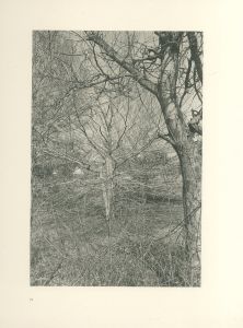 「FLOWERS and TREES / Lee Friedlander　」画像3