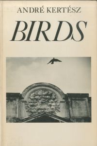 ／アンドレ・ケルテス（BIRDS／Andre Kertesz)のサムネール