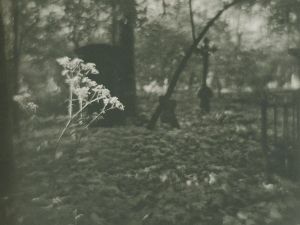 「SUDEK sonja bullaty / Josef Sudek 」画像1