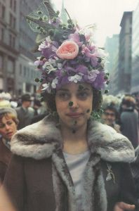 「Wild Flowers / Joel Meyerowitz　」画像1