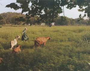 「A Natural Order / Lucas Foglia　」画像2