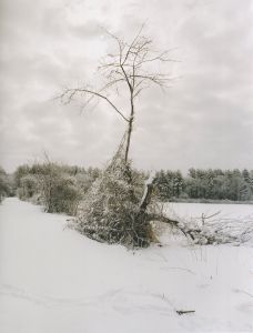 「The Meadow / Margot Anne Kelley」画像3