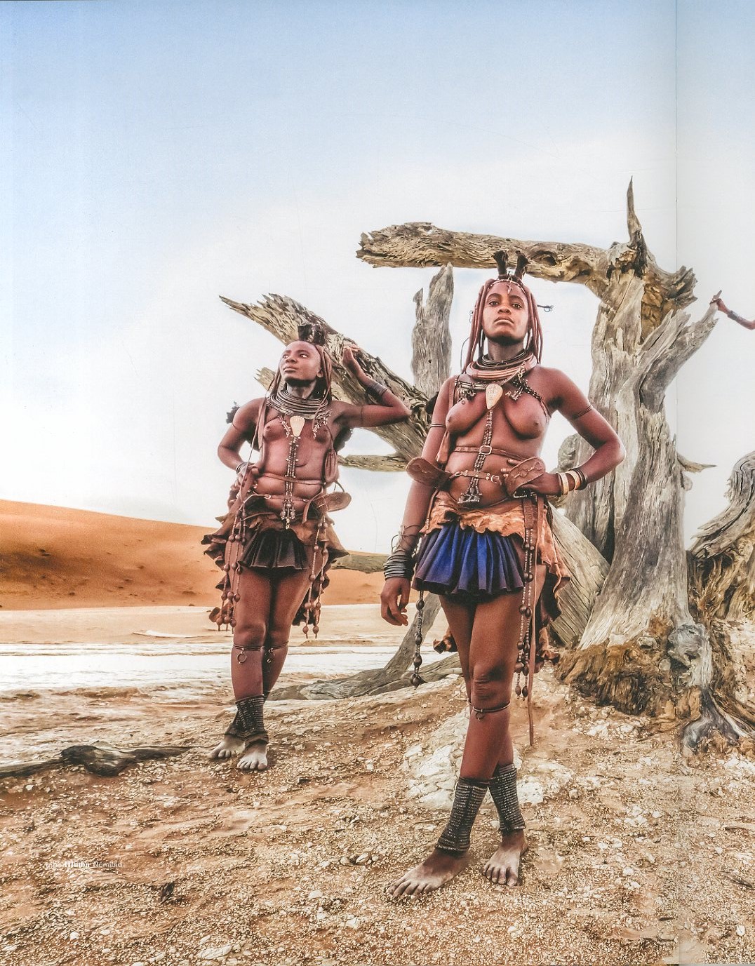 セットアップ HEROES ヨシダナギ 写真集 - その他 - cronoslab.org