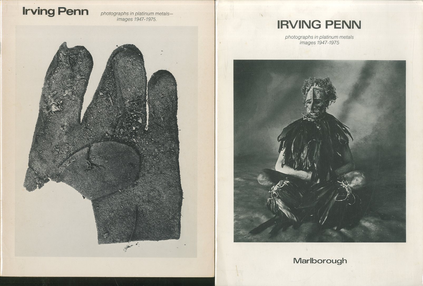 「IRVING PENN photographs in platinum metals images 1947-1975 / Irving Penn」メイン画像