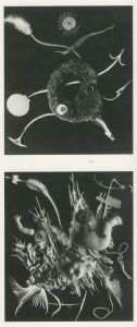 「THE ASSEMBLAGES / Bill Brandt」画像2