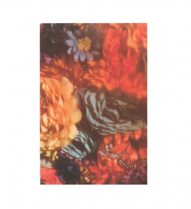 「fragile / Koki Sato」画像1