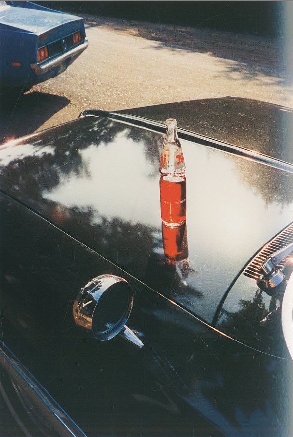 WILLIAM EGGLESTON 写真集 DEMOCRATIC CAMERA