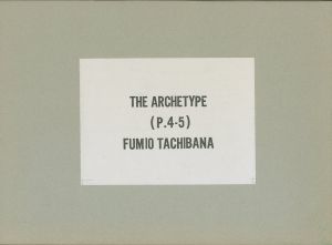 THE ARCHE TYPE (P.4.5) / Fumio Tachibana